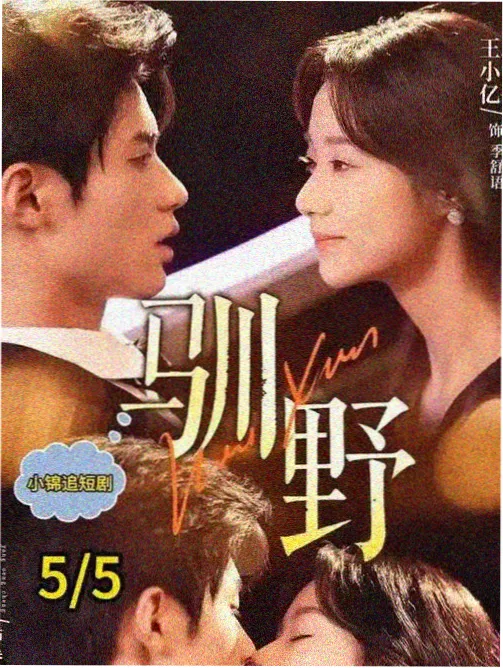剧集集数压缩趋势观察